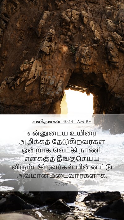 சங்கீதங்கள் 40:14 TAMIRV Bible Verse Image