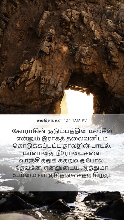 சங்கீதங்கள் 42:1 TAMIRV Bible Verse Image