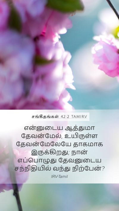 சங்கீதங்கள் 42:2 TAMIRV Bible Verse Image