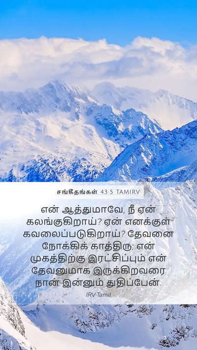 சங்கீதங்கள் 43:5 TAMIRV Bible Verse Image
