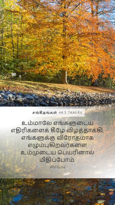 சங்கீதங்கள் 44:5 TAMIRV Bible Verse Image