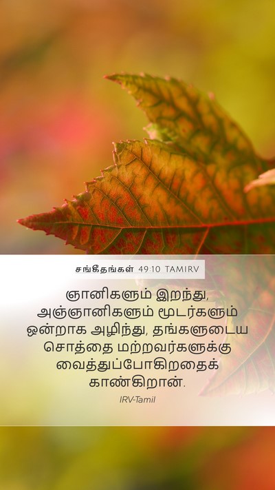 சங்கீதங்கள் 49:10 TAMIRV Bible Verse Image