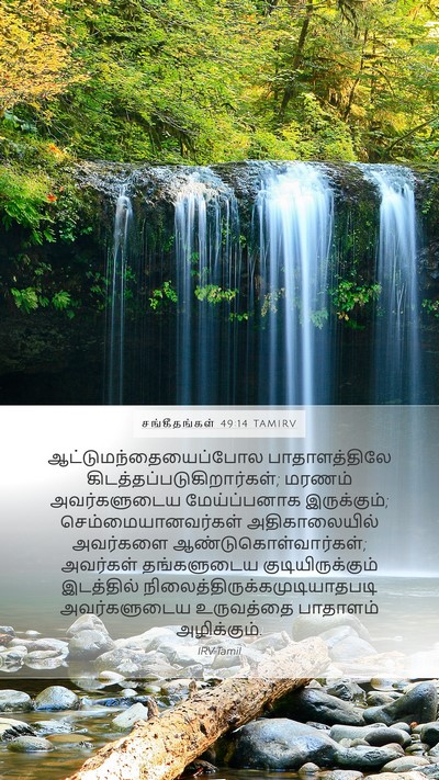 சங்கீதங்கள் 49:14 TAMIRV Bible Verse Image