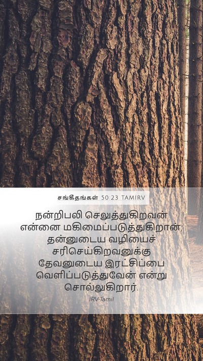 சங்கீதங்கள் 50:23 TAMIRV Bible Verse Image