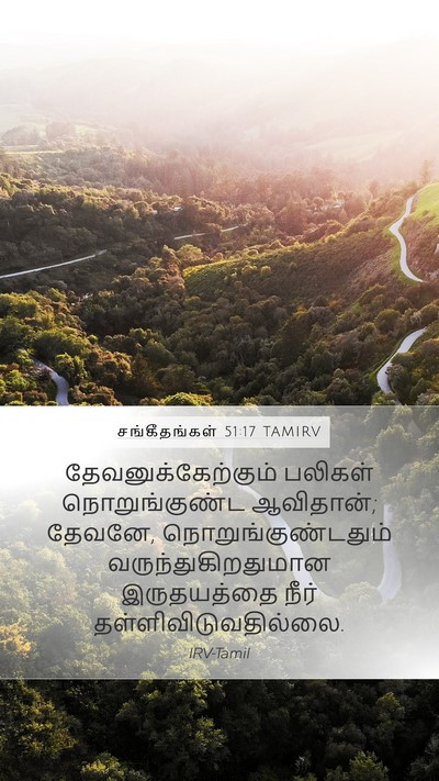 சங்கீதங்கள் 51:17 TAMIRV Bible Verse Image