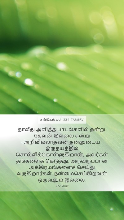 சங்கீதங்கள் 53:1 TAMIRV Mobile Phone Wallpaper - தாவீது அளித்த - Mobile Bible Verse Wallpaper