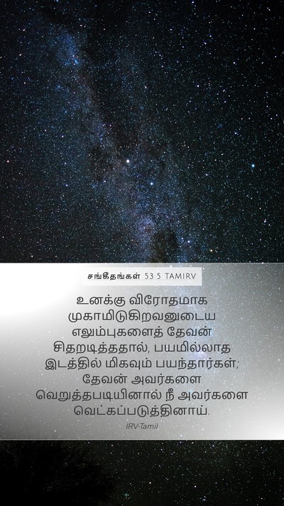 சங்கீதங்கள் 53:5 TAMIRV Bible Verse Image