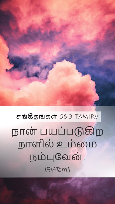 சங்கீதங்கள் 56:3 TAMIRV Bible Verse Image