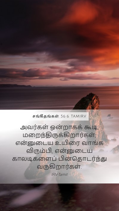 சங்கீதங்கள் 56:6 TAMIRV Bible Verse Image