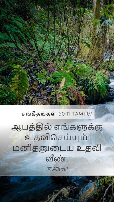 சங்கீதங்கள் 60:11 TAMIRV Mobile Phone Wallpaper - ஆபத்தில் - Mobile Bible Verse Wallpaper