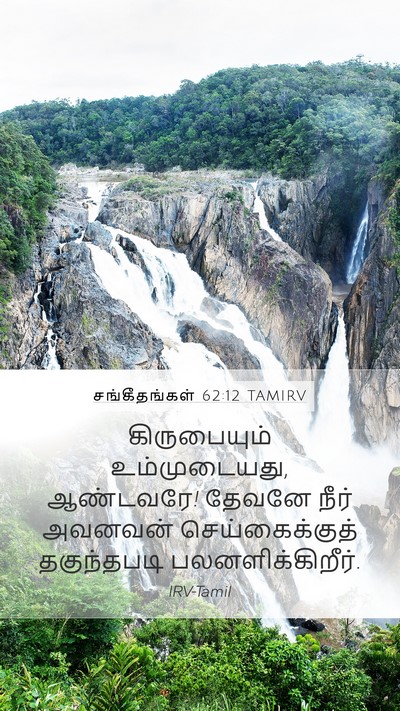 சங்கீதங்கள் 62:12 TAMIRV Bible Verse Image