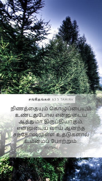 சங்கீதங்கள் 63:5 TAMIRV Bible Verse Image