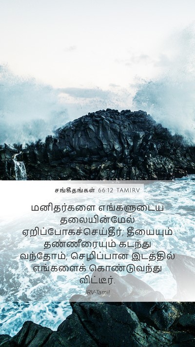 சங்கீதங்கள் 66:12 TAMIRV Bible Verse Image