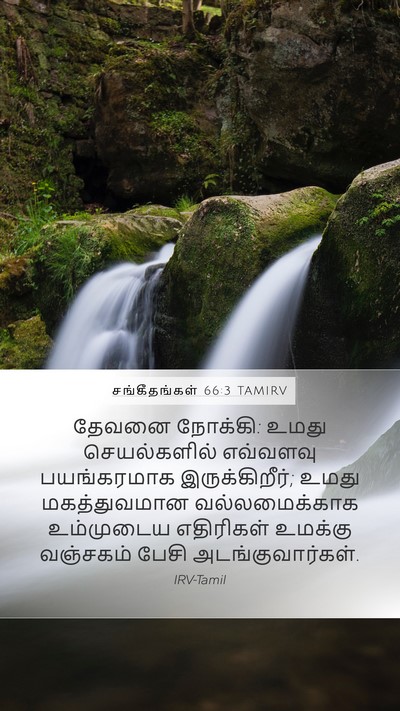 சங்கீதங்கள் 66:3 TAMIRV Bible Verse Image