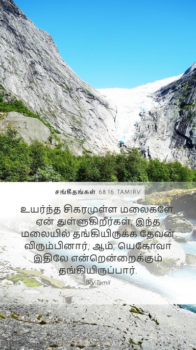 சங்கீதங்கள் 68:16 TAMIRV Bible Verse Image