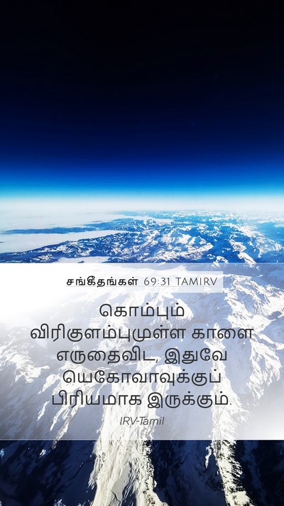 சங்கீதங்கள் 69:31 TAMIRV Bible Verse Image