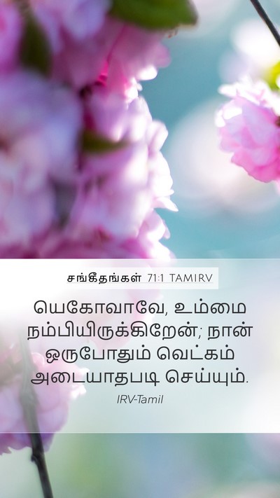 சங்கீதங்கள் 71:1 TAMIRV Bible Verse Image