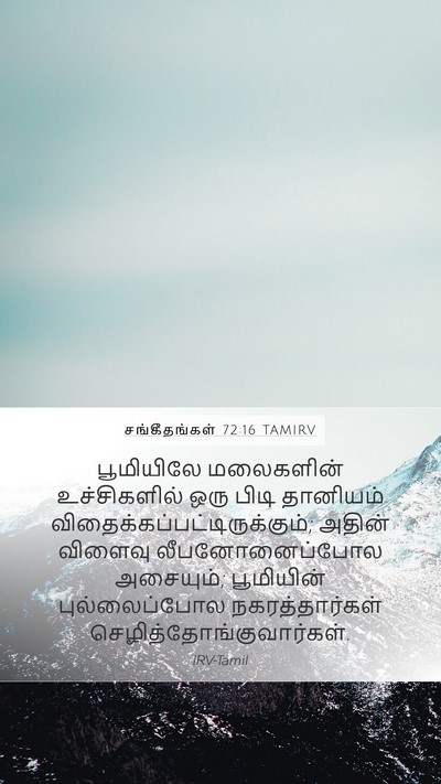 சங்கீதங்கள் 72:16 TAMIRV Mobile Phone Wallpaper - பூமியிலே மலைகளின் - Mobile Bible Verse Wallpaper