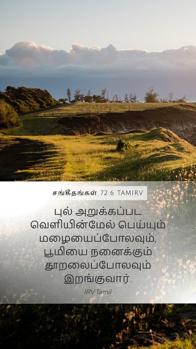 சங்கீதங்கள் 72:6 TAMIRV Mobile Phone Wallpaper - புல் அறுக்கப்பட - Mobile Bible Verse Wallpaper
