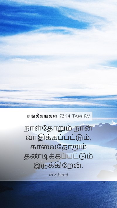 சங்கீதங்கள் 73:14 TAMIRV Bible Verse Image