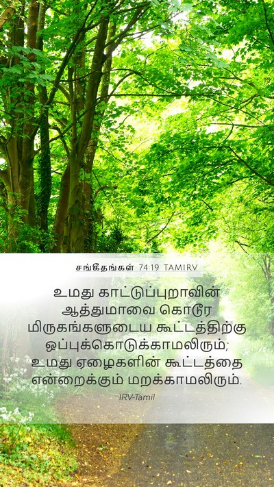 சங்கீதங்கள் 74:19 TAMIRV Bible Verse Image