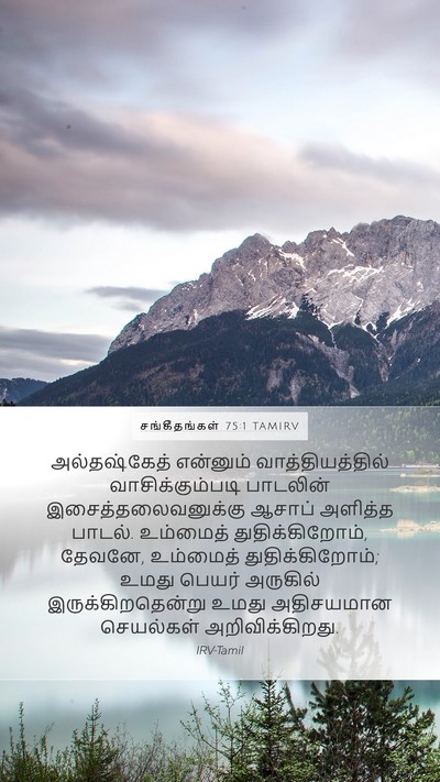 சங்கீதங்கள் 75:1 TAMIRV Bible Verse Image