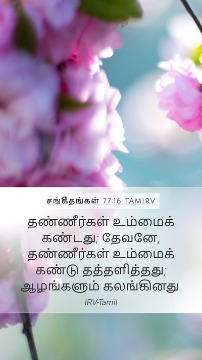 சங்கீதங்கள் 77:16 TAMIRV Bible Verse Image