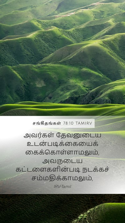 சங்கீதங்கள் 78:10 TAMIRV Bible Verse Image