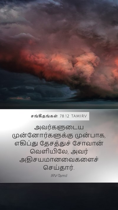 சங்கீதங்கள் 78:12 TAMIRV Bible Verse Image