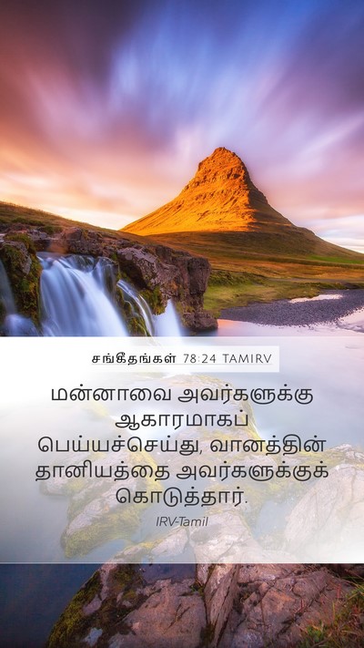 சங்கீதங்கள் 78:24 TAMIRV Bible Verse Image