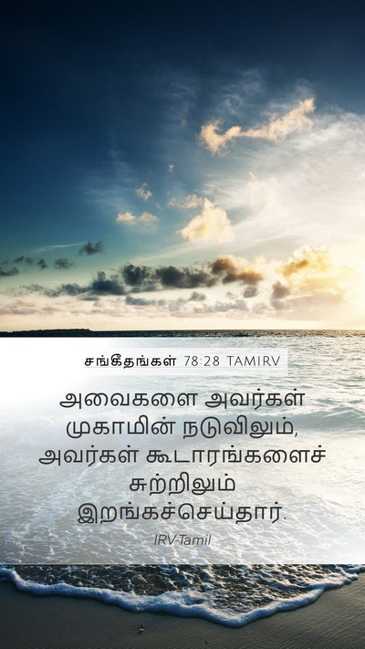 சங்கீதங்கள் 78:28 TAMIRV Mobile Phone Wallpaper - அவைகளை அவர்கள் - Mobile Bible Verse Wallpaper