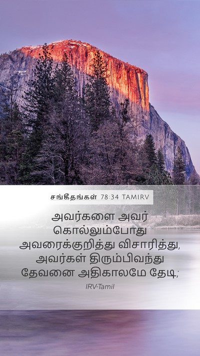 சங்கீதங்கள் 78:34 TAMIRV Bible Verse Image