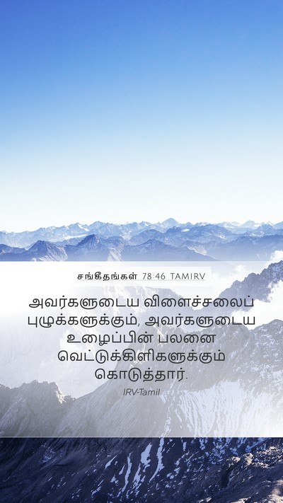 சங்கீதங்கள் 78:46 TAMIRV Bible Verse Image