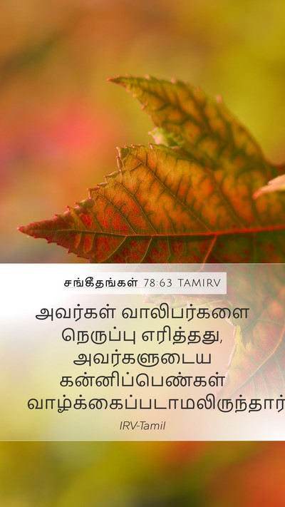 சங்கீதங்கள் 78:63 TAMIRV Mobile Phone Wallpaper - அவர்கள் - Mobile Bible Verse Wallpaper
