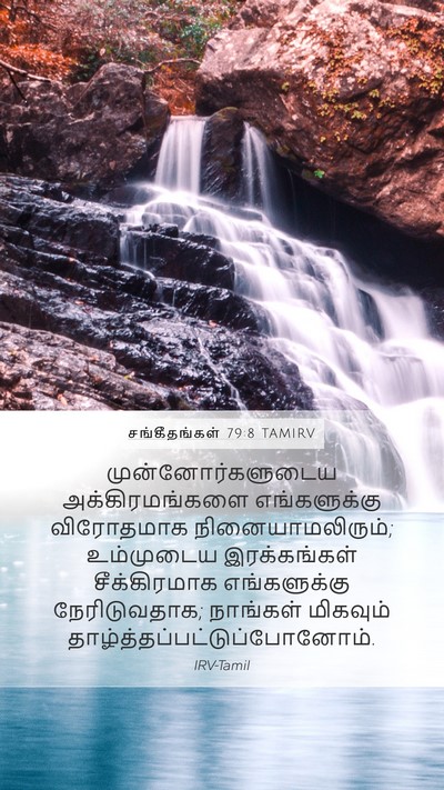 சங்கீதங்கள் 79:8 TAMIRV Mobile Phone Wallpaper - முன்னோர்களுடைய - Mobile Bible Verse Wallpaper