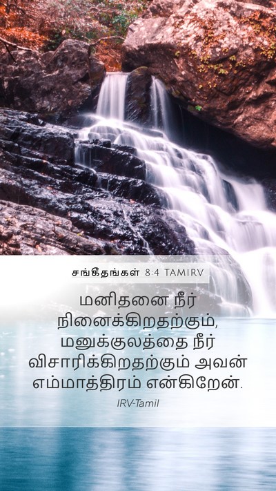 சங்கீதங்கள் 8:4 TAMIRV Bible Verse Image