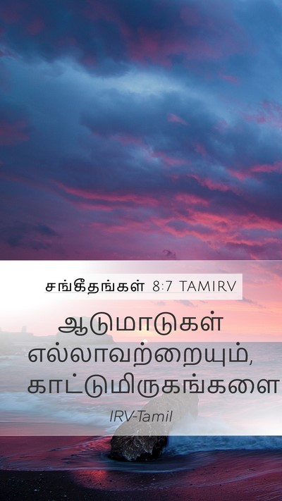 சங்கீதங்கள் 8:7 TAMIRV Mobile Phone Wallpaper - ஆடுமாடுகள் - Mobile Bible Verse Wallpaper