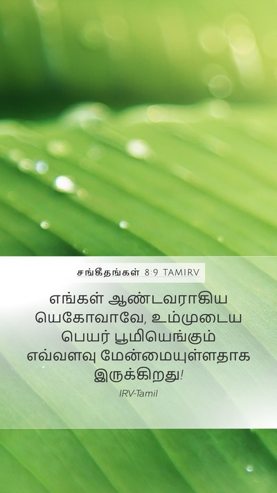 சங்கீதங்கள் 8:9 TAMIRV Bible Verse Image