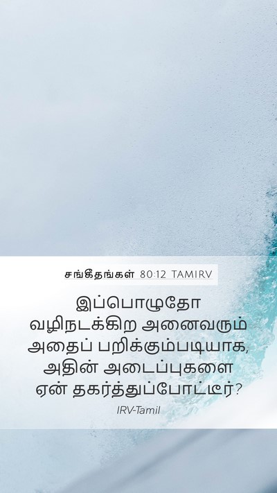 சங்கீதங்கள் 80:12 TAMIRV Mobile Phone Wallpaper - இப்பொழுதோ - Mobile Bible Verse Wallpaper