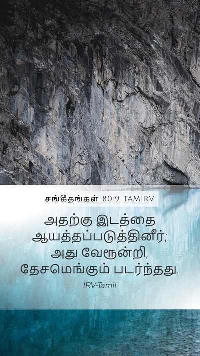 சங்கீதங்கள் 80:9 TAMIRV Bible Verse Image