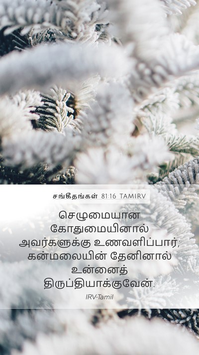 சங்கீதங்கள் 81:16 TAMIRV Bible Verse Image