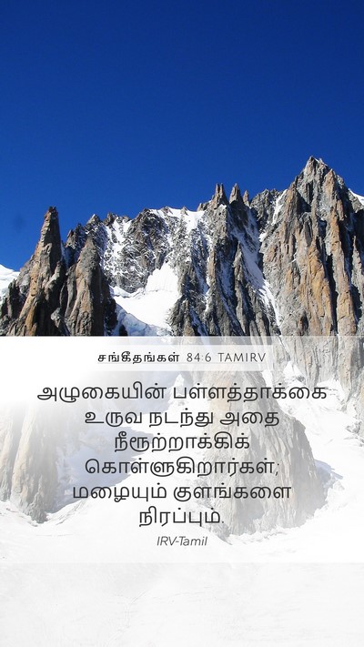 சங்கீதங்கள் 84:6 TAMIRV Mobile Phone Wallpaper - அழுகையின் - Mobile Bible Verse Wallpaper