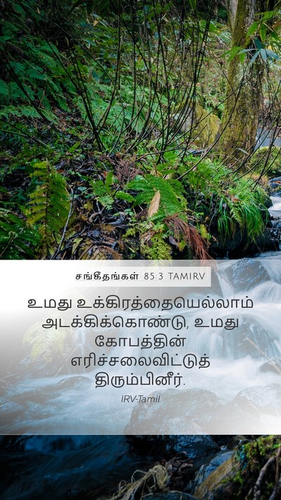 சங்கீதங்கள் 85:3 TAMIRV Bible Verse Image