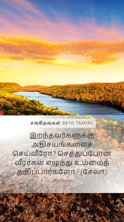 சங்கீதங்கள் 88:10 TAMIRV Bible Verse Image