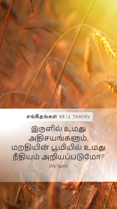 சங்கீதங்கள் 88:12 TAMIRV Mobile Phone Wallpaper - இருளில் உமது - Mobile Bible Verse Wallpaper