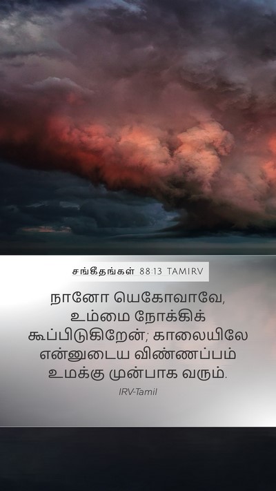 சங்கீதங்கள் 88:13 TAMIRV Bible Verse Image
