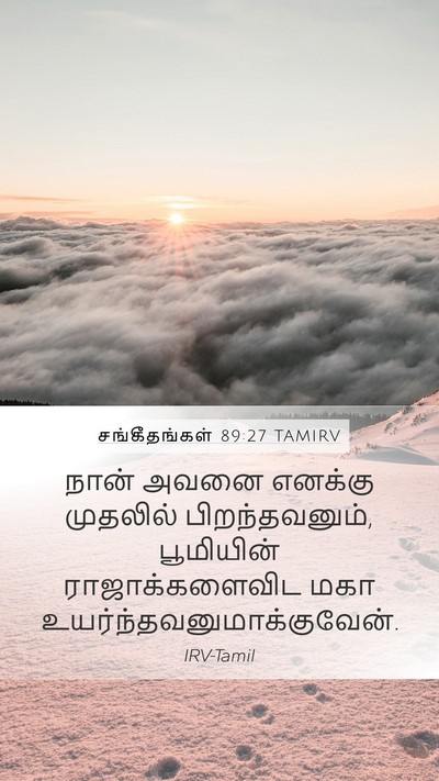 சங்கீதங்கள் 89:27 TAMIRV Bible Verse Image