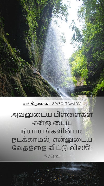 சங்கீதங்கள் 89:30 TAMIRV Bible Verse Image