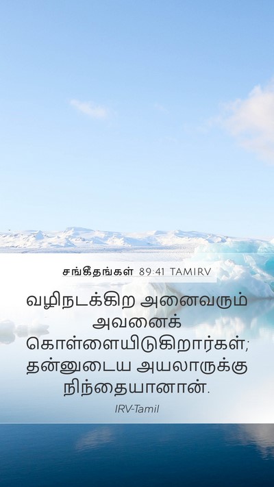 சங்கீதங்கள் 89:41 TAMIRV Bible Verse Image