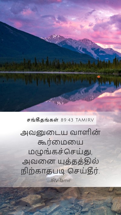சங்கீதங்கள் 89:43 TAMIRV Mobile Phone Wallpaper - அவனுடைய வாளின் - Mobile Bible Verse Wallpaper